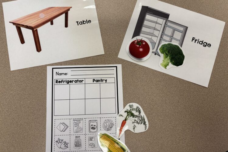 A life skills workbook page in the skill of sorting is shown on a table top with color visuals of food, table, and fridge